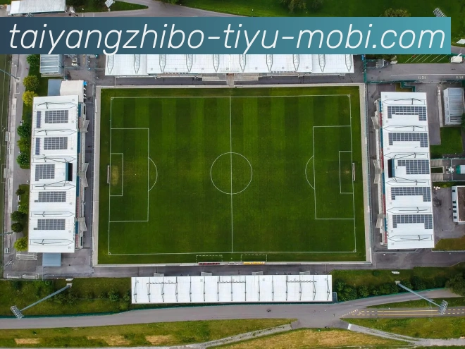 太阳城服务体系